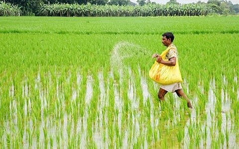 Telangana Agriculture Department asks farmers not to buy spurious fertilisers